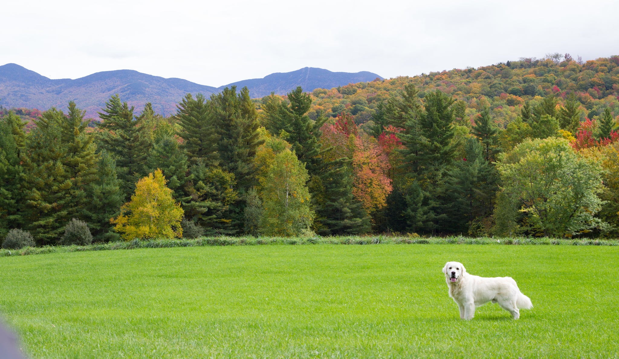 Vermont's Sweetest Mountain Escape